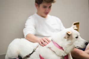 When Speech Therapy Includes a Woof